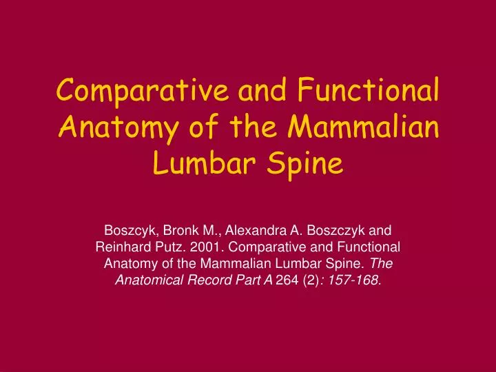 comparative and functional anatomy of the mammalian lumbar spine