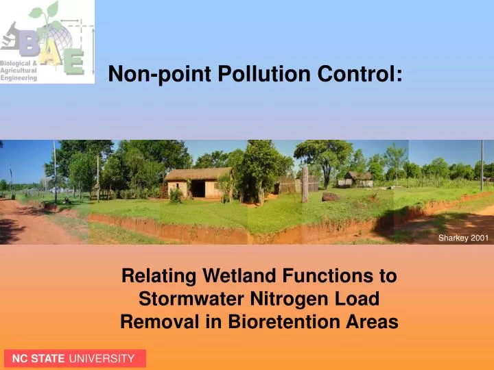 relating wetland functions to stormwater nitrogen load removal in bioretention areas