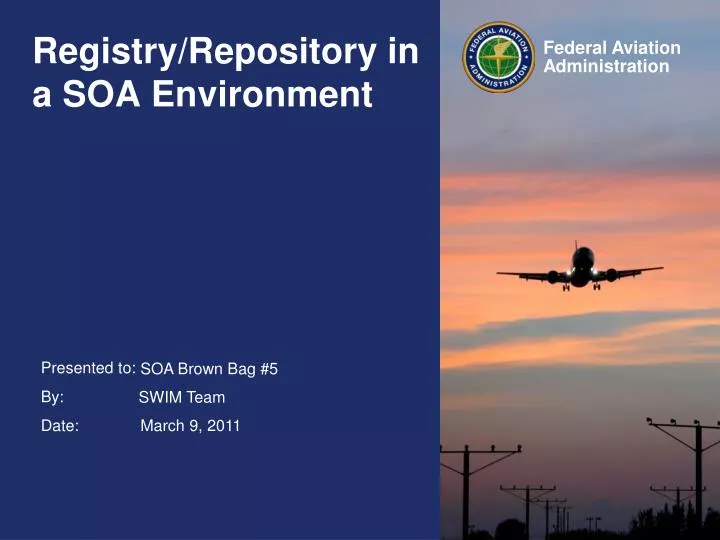 registry repository in a soa environment