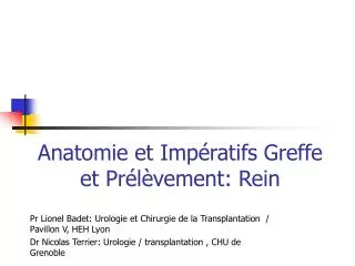 Anatomie et Impératifs Greffe et Prélèvement: Rein
