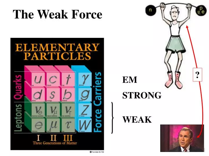 the weak force