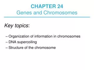 CHAPTER 24 Genes and Chromosomes