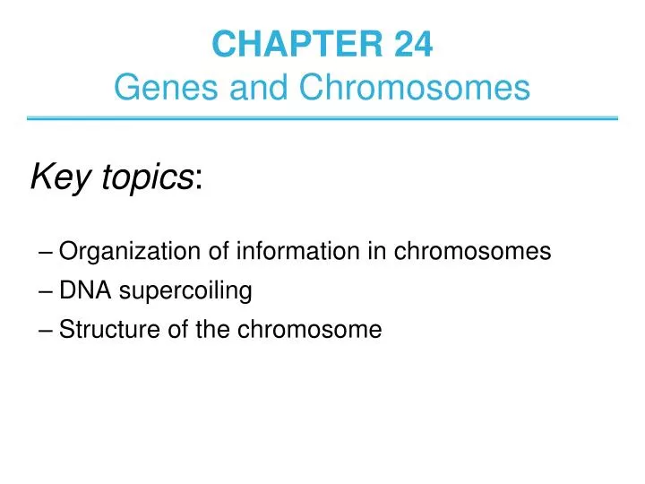 chapter 24 genes and chromosomes