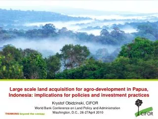 Large scale land acquisition for agro-development in Papua, Indonesia: implications for policies and investment practi