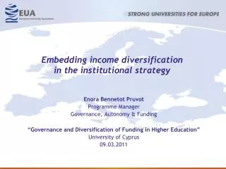 Embedding income diversification in the institutional strategy