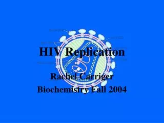 HIV Replication
