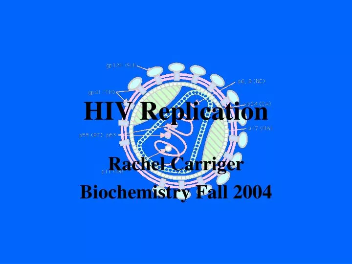 hiv replication
