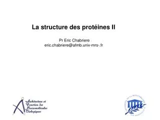 La structure des protéines II