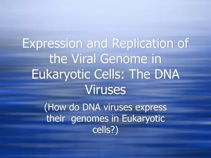 expression and replication of the viral genome in eukaryotic cells the dna viruses