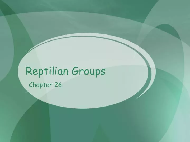 reptilian groups