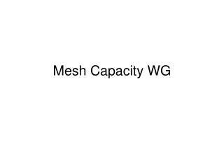 Mesh Capacity WG