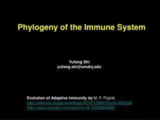 Phylogeny of the Immune System