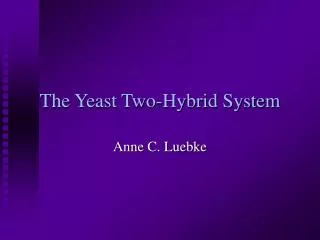 The Yeast Two-Hybrid System