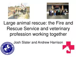 Large animal rescue: the Fire and Rescue Service and veterinary profession working together