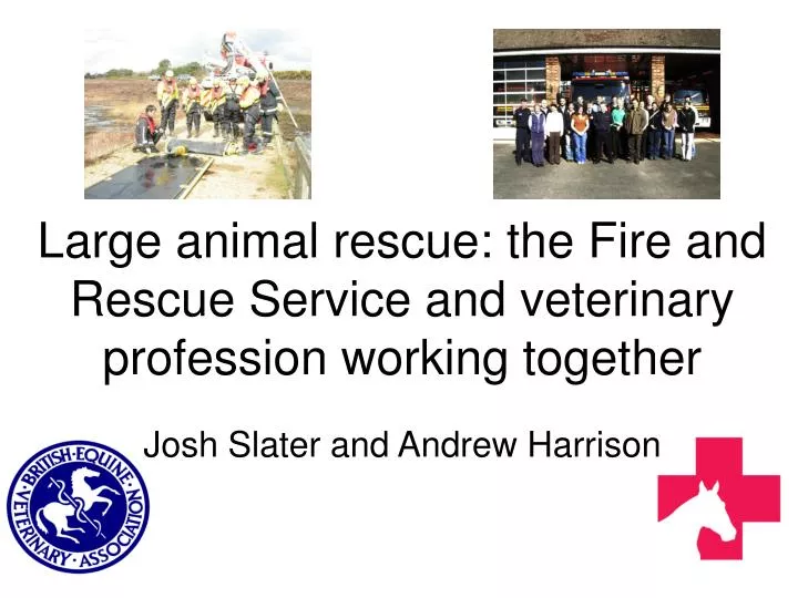 large animal rescue the fire and rescue service and veterinary profession working together