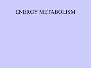 ENERGY METABOLISM