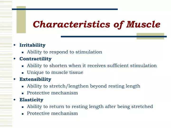 characteristics of muscle