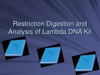 Restriction Digestion and Analysis of Lambda DNA Kit