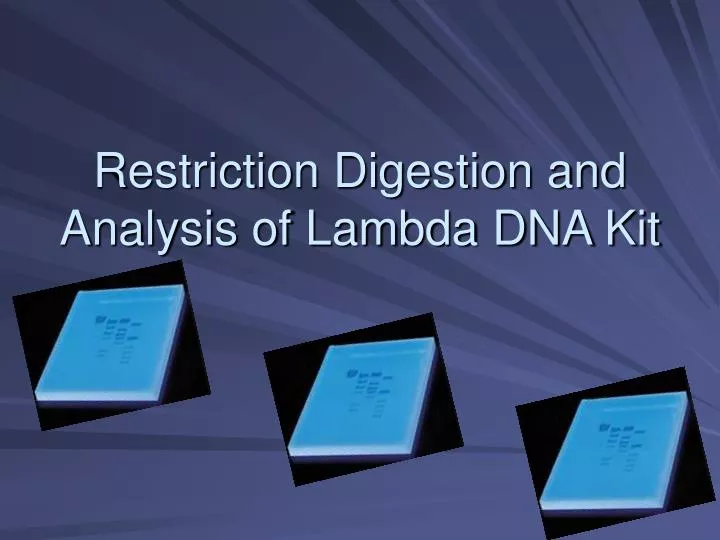restriction digestion and analysis of lambda dna kit