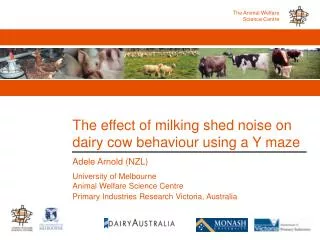 The effect of milking shed noise on dairy cow behaviour using a Y maze