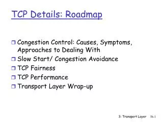 TCP Details: Roadmap