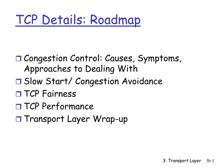 tcp details roadmap