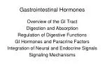 Gastrointestinal Hormones - slide 1