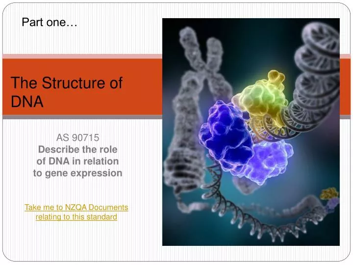 as 90715 describe the role of dna in relation to gene expression
