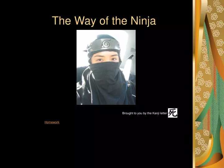 the way of the ninja