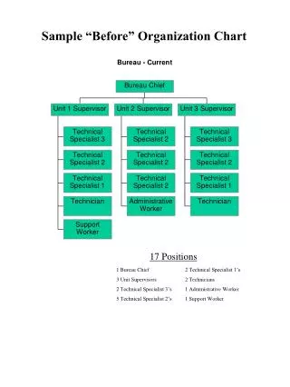Sample “Before” Organization Chart