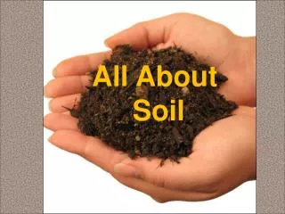 All About Soil