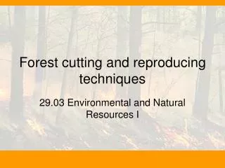 Forest cutting and reproducing techniques