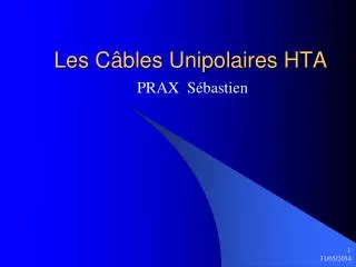 Les Câbles Unipolaires HTA