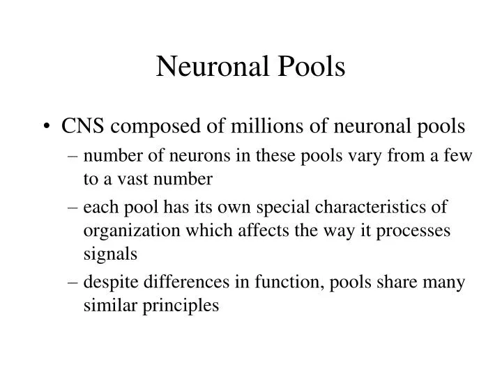 neuronal pools