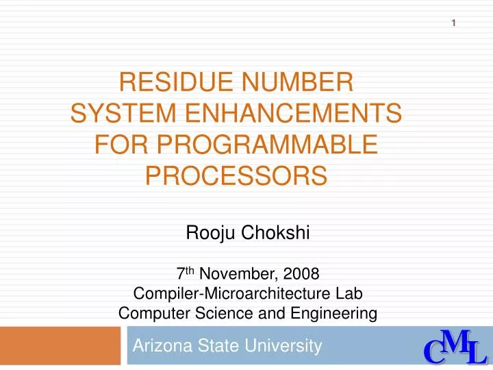 residue number system enhancements for programmable processors