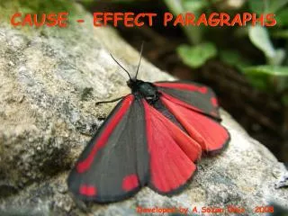 CAUSE - EFFECT PARAGRAPHS