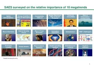 SAES surveyed on the relative importance of 18 megatrends