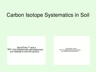 Carbon Isotope Systematics in Soil