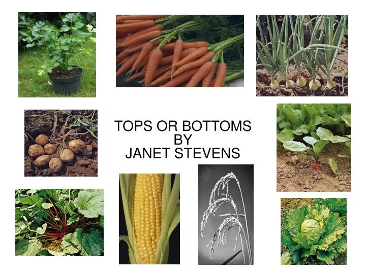 tops or bottoms by janet stevens