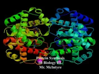 Protein Synthesis IB Biology HL Mr. McIntyre