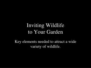 Inviting Wildlife to Your Garden