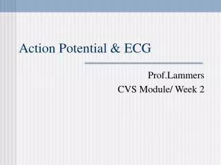 Action Potential &amp; ECG