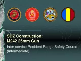 SDZ Construction: M242 25mm Gun