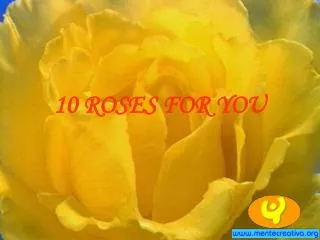 10 ROSES FOR YOU