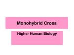 Monohybrid Cross - slide 1