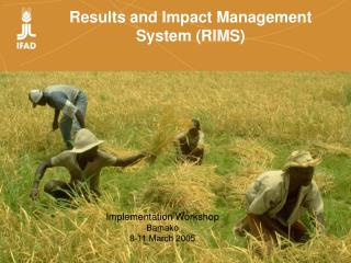 Results and Impact Management System (RIMS)