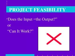 PROJECT FEASIBILITY
