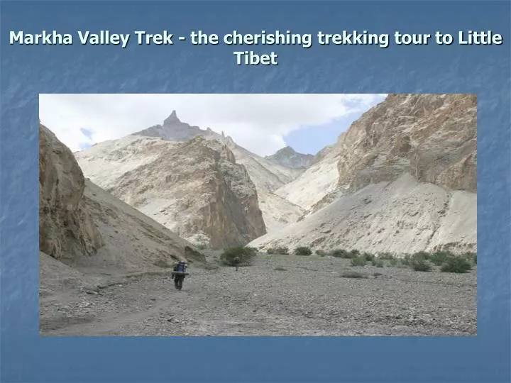 markha valley trek the cherishing trekking tour to little tibet