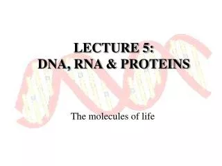 LECTURE 5: DNA, RNA &amp; PROTEINS