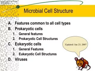 Microbial Cell Structure